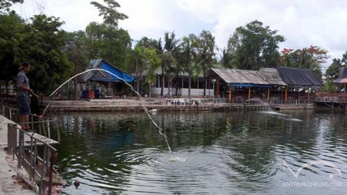 Baetong Fishing Park