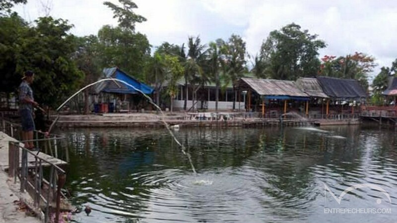 Baetong Fishing Park