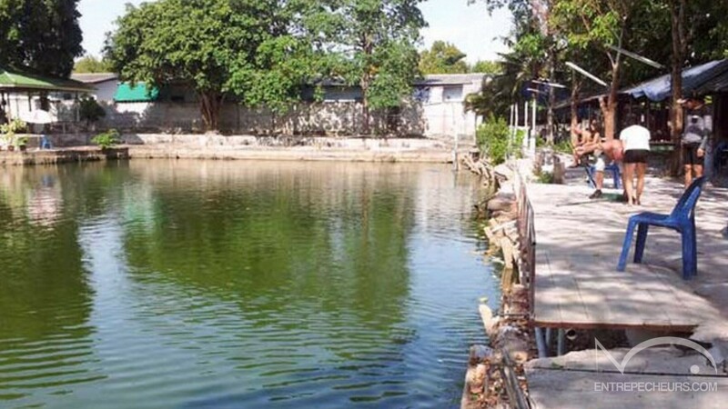 Baetong Fishing Park