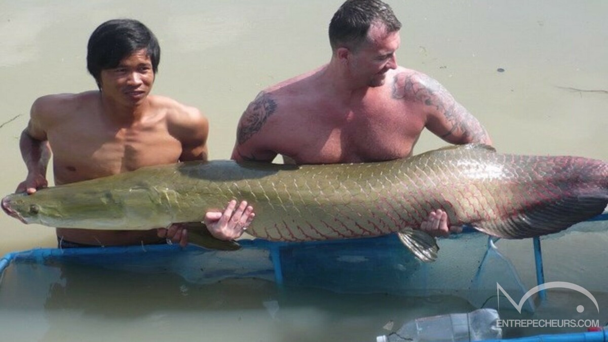 Amazon Fishing Park