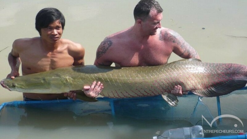 Amazon Fishing Park