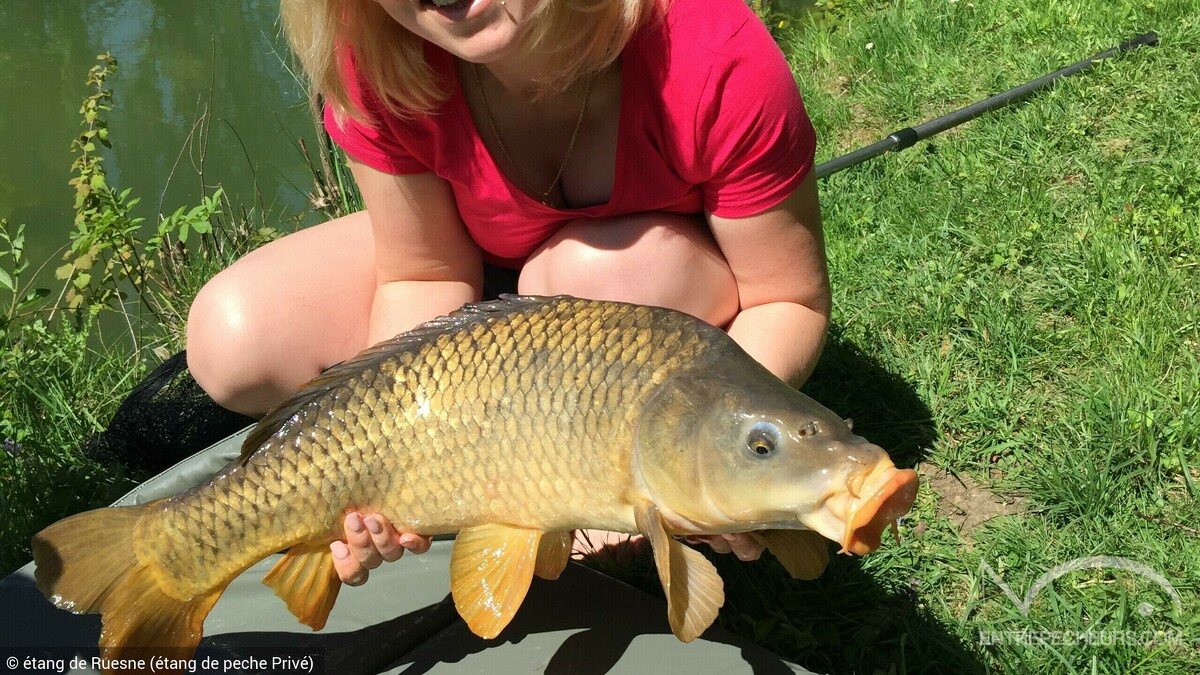 received_1686380694784238