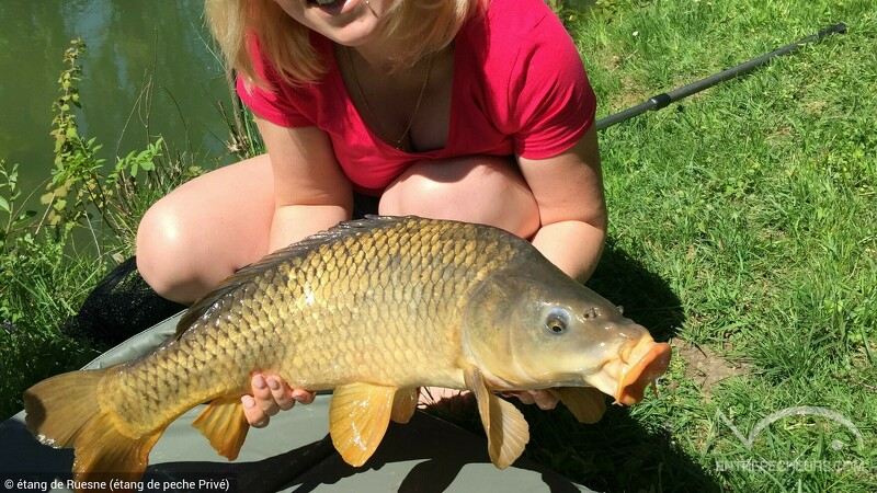 received_1686380694784238