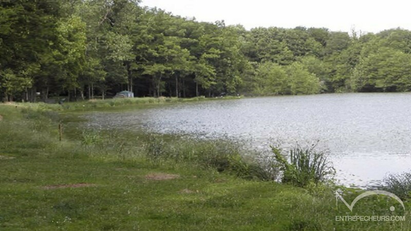 Étang des Cailleaux