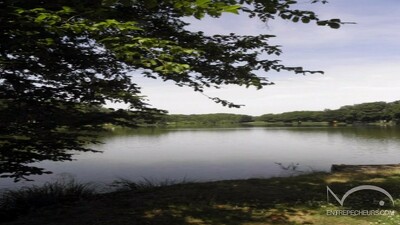 Grand étang des Cailleaux