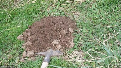 Terre de taupinière