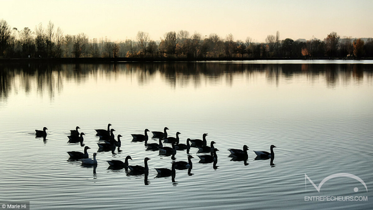 Monteils - 19/11/2017