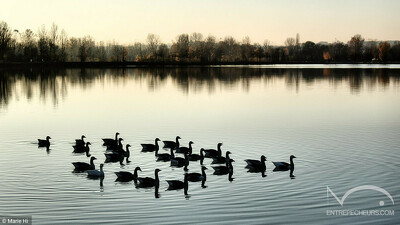 Monteils - 19/11/2017