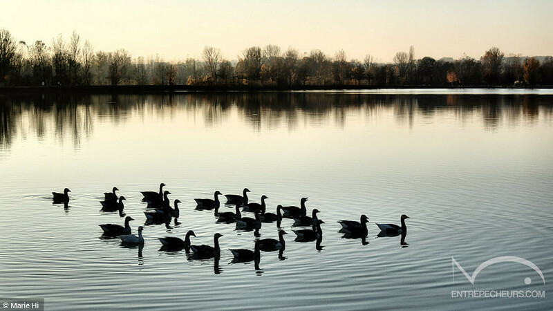 Monteils - 19/11/2017