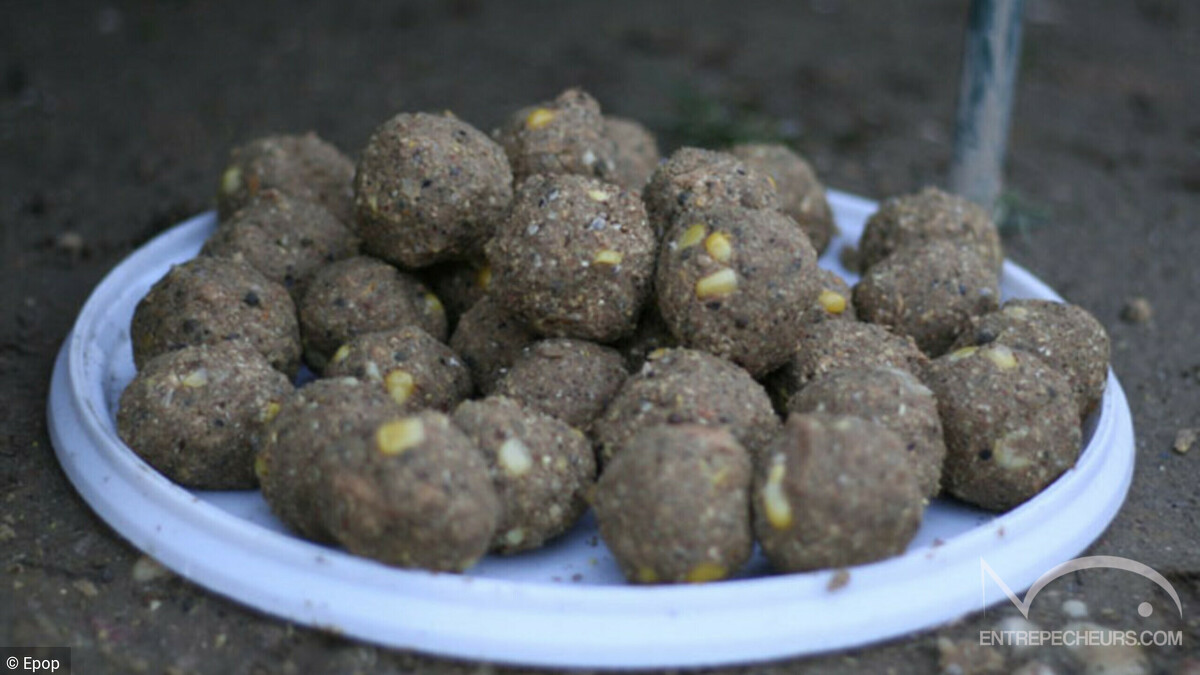 Bouillettes pour la pêche à la carpe