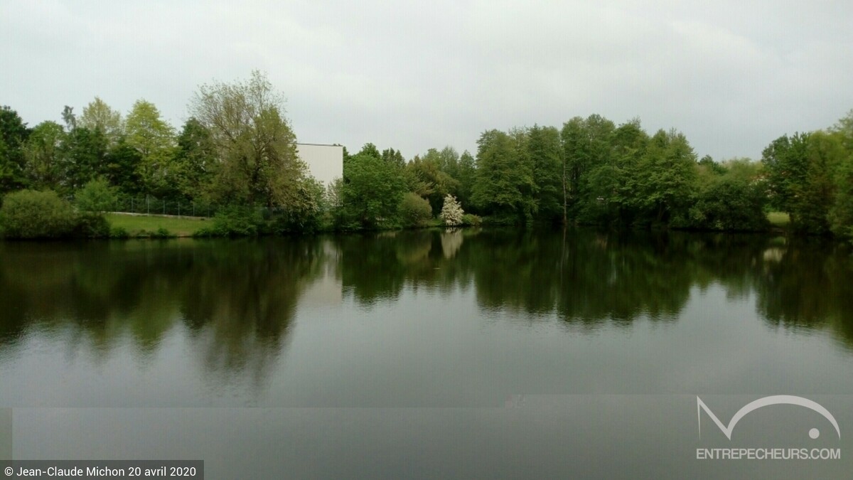 IMG_20200420_165202_resized_20200420_052503471