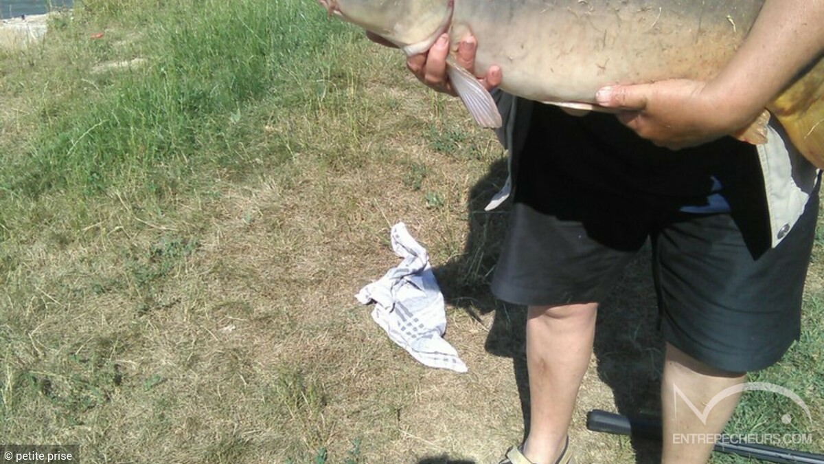 Étang de Village-Neuf