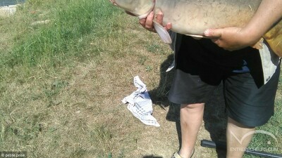 Étang de Village-Neuf