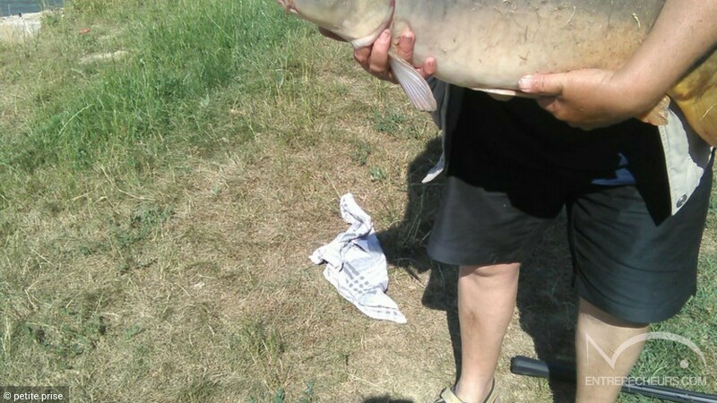 Étang de Village-Neuf