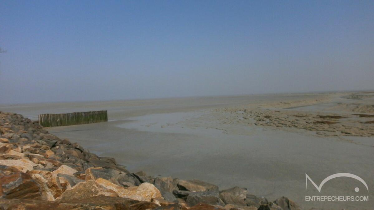 Etang-de-la-caillaudiere