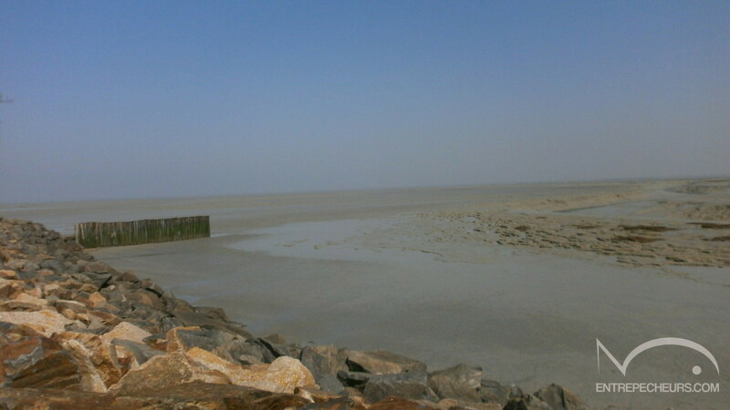 Etang-de-la-caillaudiere