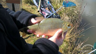 Etang-des-pierres-du-mas