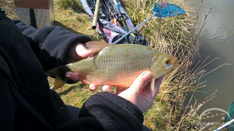 Etang-des-pierres-du-mas